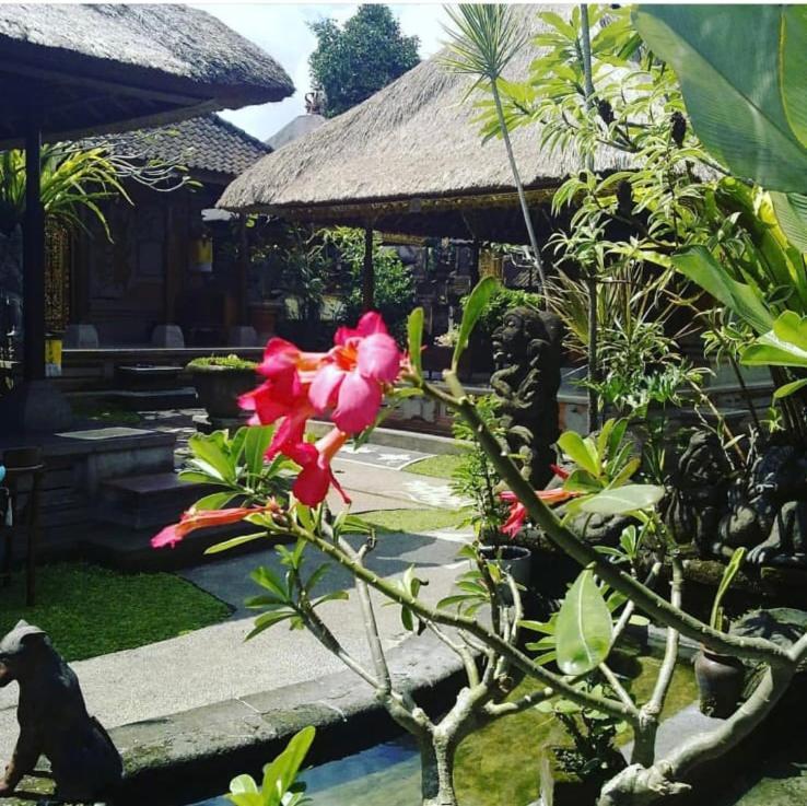 Family Guest House Ubud  Bagian luar foto